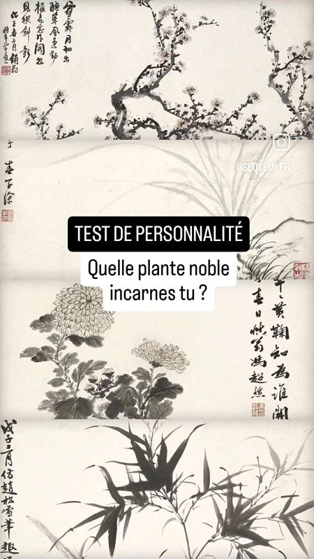 Test de personnalité : quelle plante noble incarnes-tu ?