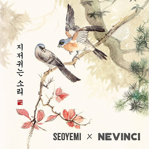 Collection Seoyemi x Nevinci