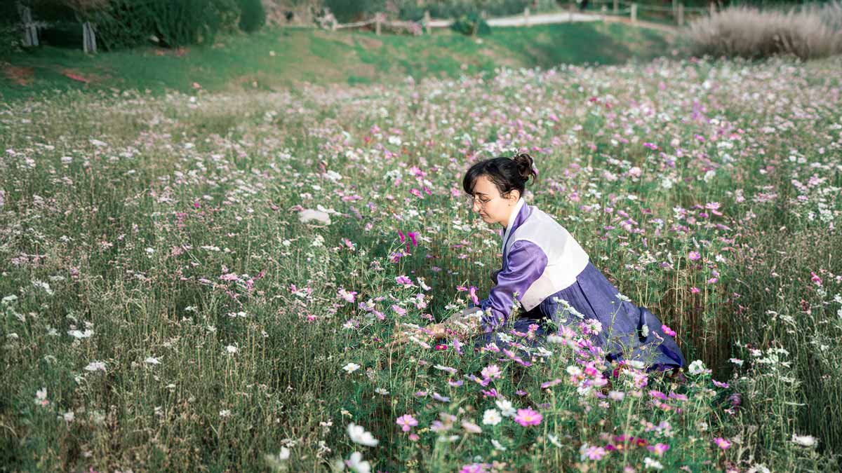 Photo de Maya Nastasya portant un hanbok violet au milieu d'un champs de fleurs roses