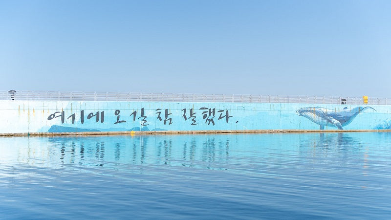 Photo d'un quai du port de Sokcho